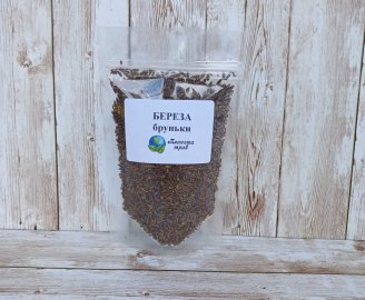 bereza-povislaya-pochki