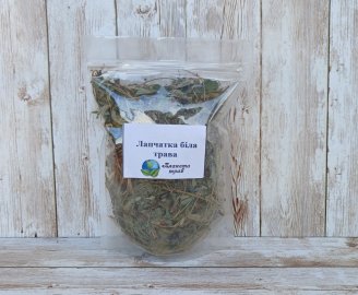 lapchatka-belaya-trava