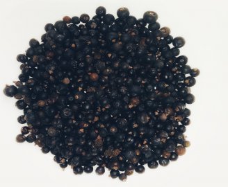 mozhzhevelnik-obyknovennyj-plody