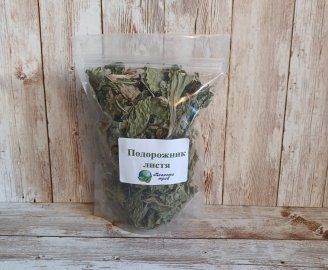 podorozhnik-bolshoj-listya