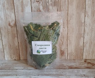 smorodina-chernaya-listya