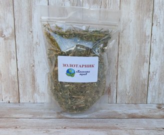 zolotarnik-obyknovennyj-zolotaya-rozga