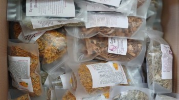 20250425_133739 (11111)