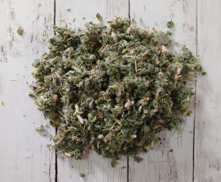 astragal-sherstistotsvetkovyj-trava