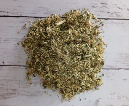 boligolov-pyatnistyj-trava