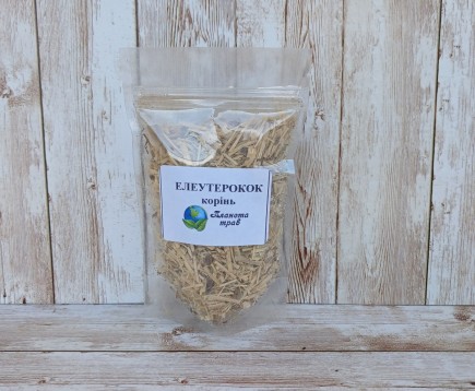 eleuterokokk-kolyuchij-koren