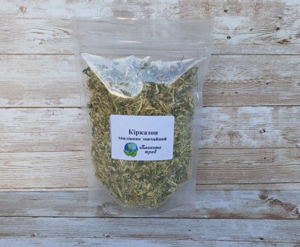 kirkazon-lomonosovidnyj-filejnik-trava