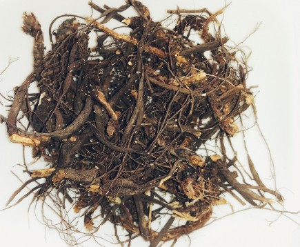 lapchatka-belaya-korni