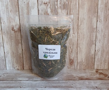 chereda-trekhrazdelnaya-trava