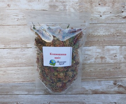 klever-lugovoj-krasnyj-tsvetki