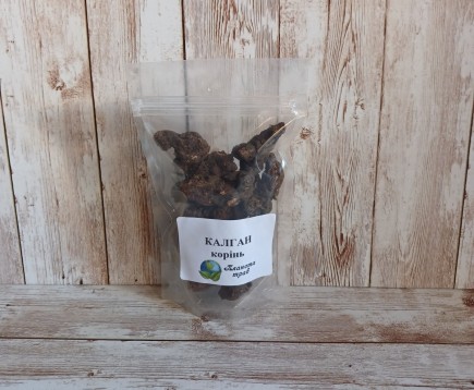 lapchatka-pryamostoyachaya-koren-kalgan