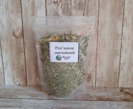 repeshok-obyknovennyj-parilo-trava