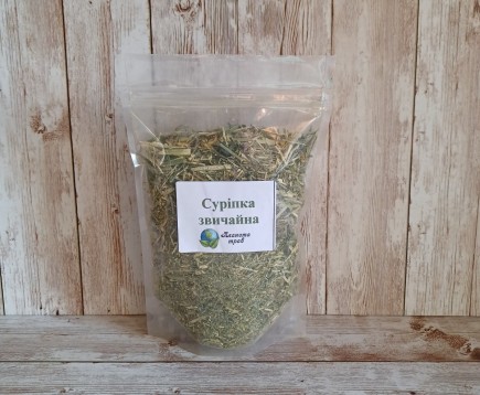 surepka-obyknovennaya-trava