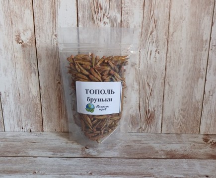 topolya-chernogo-pochki