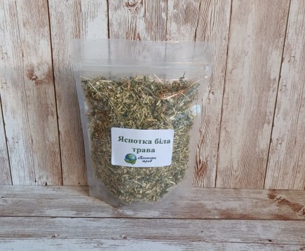 yasnotka-belaya-glukhaya-krapiva