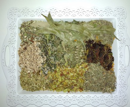 sbor-trav-dlya-bani-i-sauny