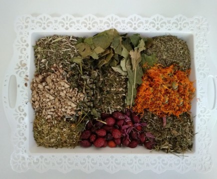 sbor-trav-pri-alkogolizme