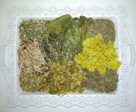 sbor-trav-zhelchegonuj