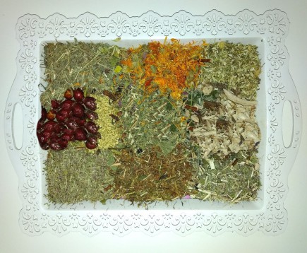 sbor-trav-pri-allergii